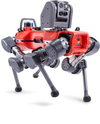 ANYmal legged robot walking