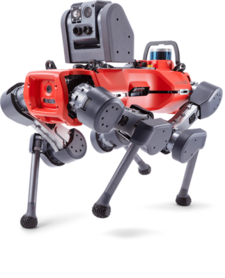 ANYmal legged robot walking