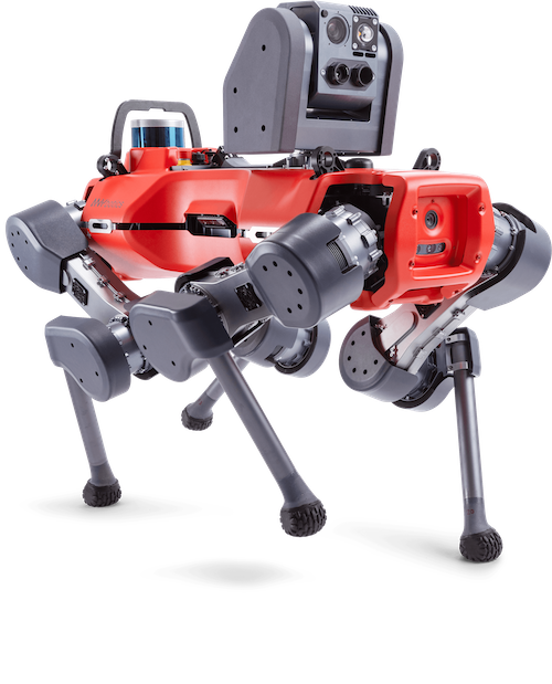ANYmal legged robot walking